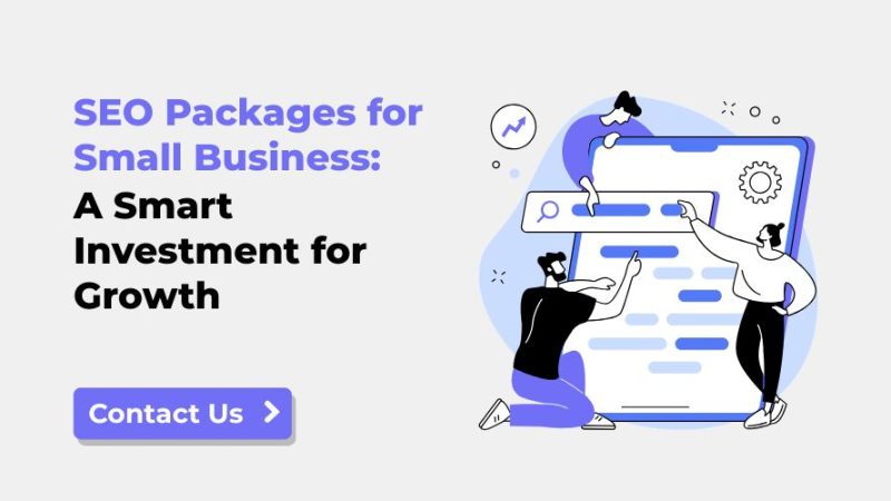 SEO Packages for Small Business
