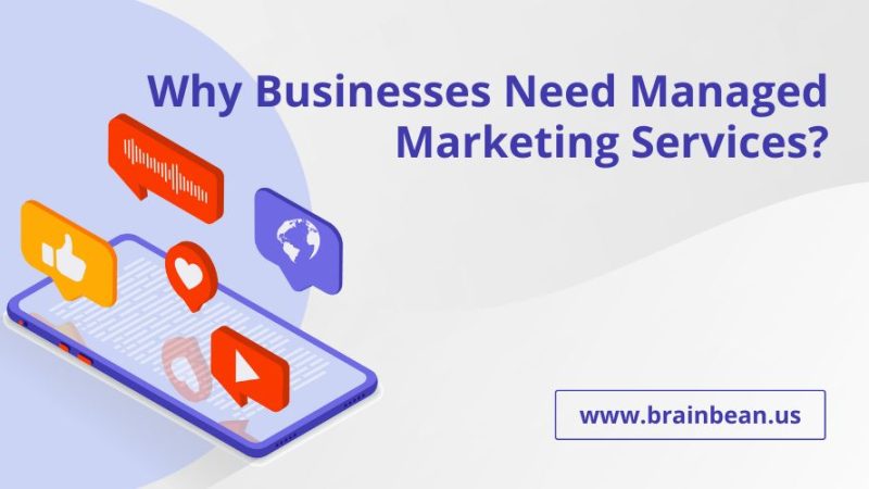 Managed Marketing Services